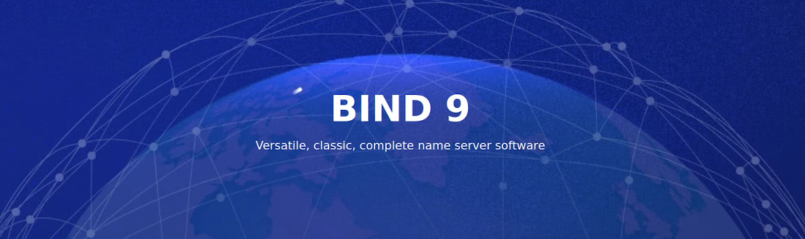 Setting Up a local DNS server